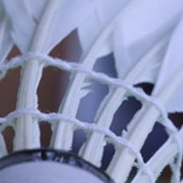 TV-Burgholhausen_badminton TV-Burgholhausen_badminton